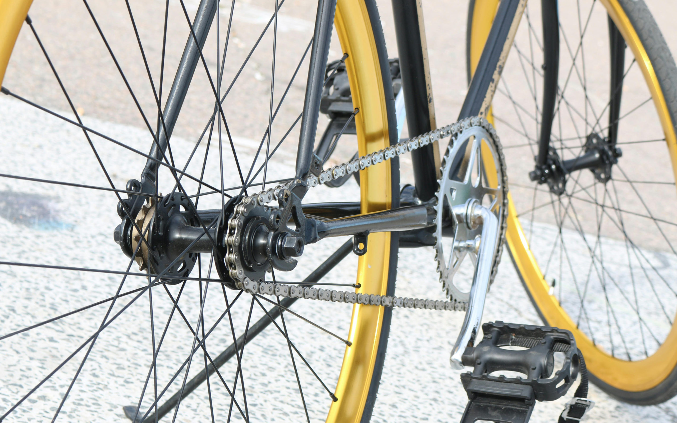 ŻZ LIS strona _ aktualności-ambasada-bezp-ruchu-drog