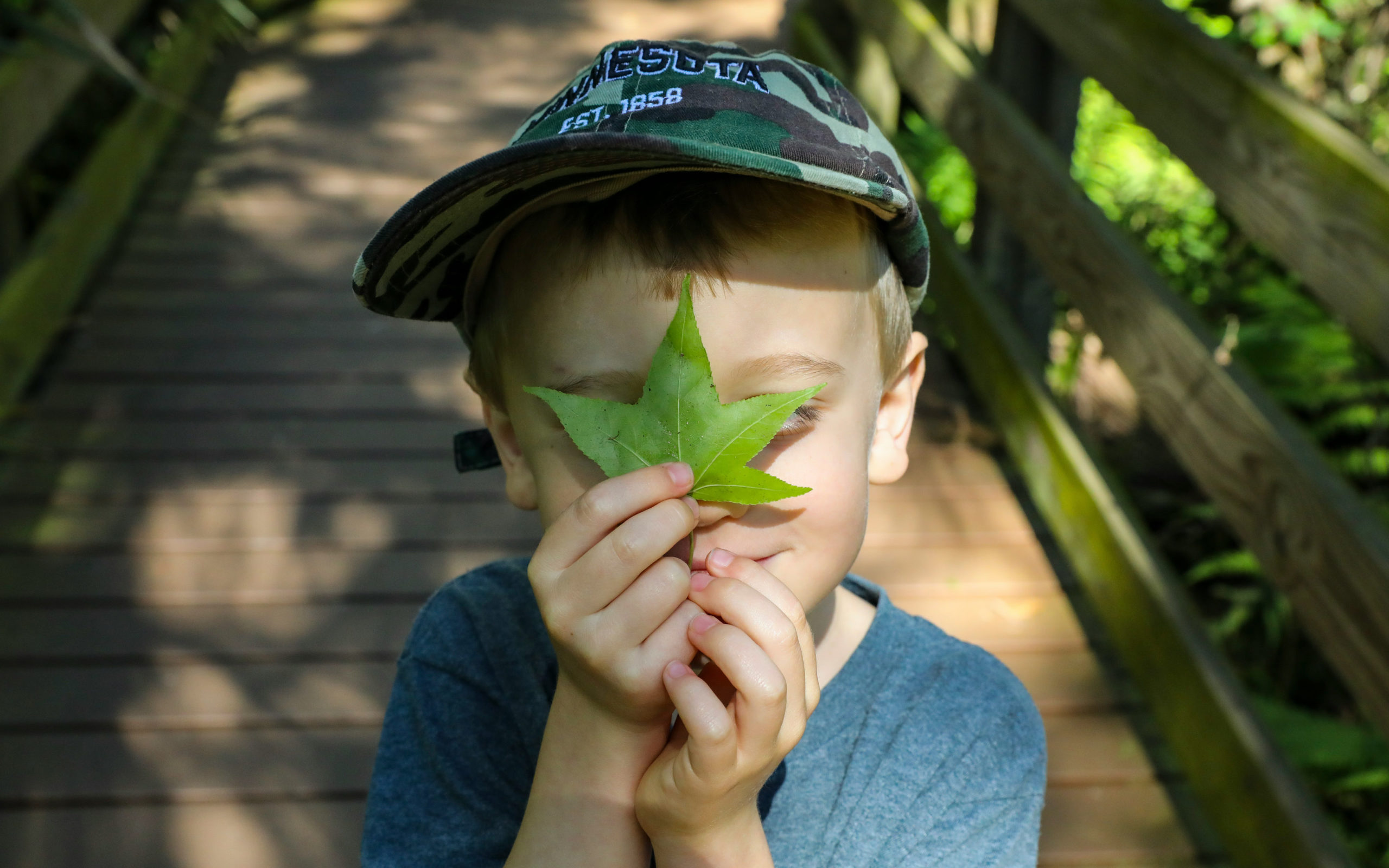 ŻZ LIS strona _ aktualności-kreatywni-ekobadacze