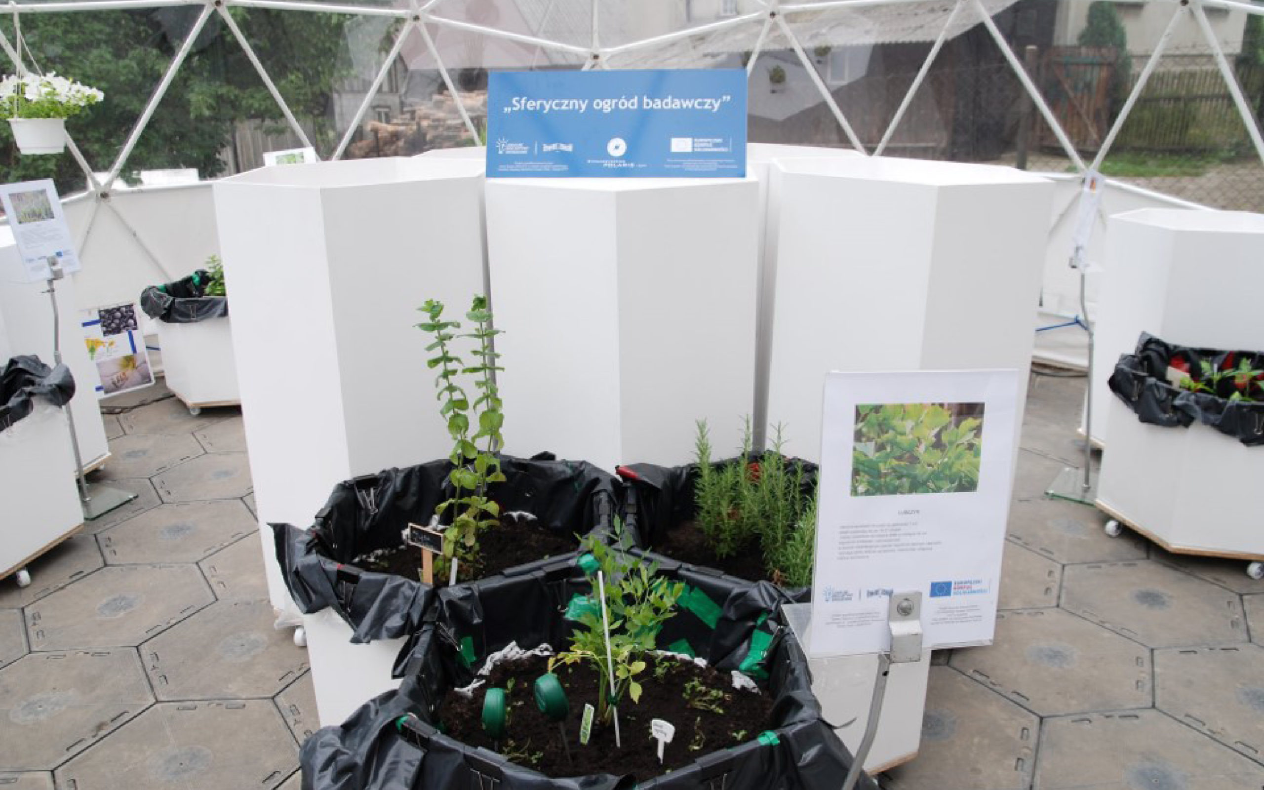 ŻZ LIS strona _ aktualności-sferyczny-ogrod-badawczy